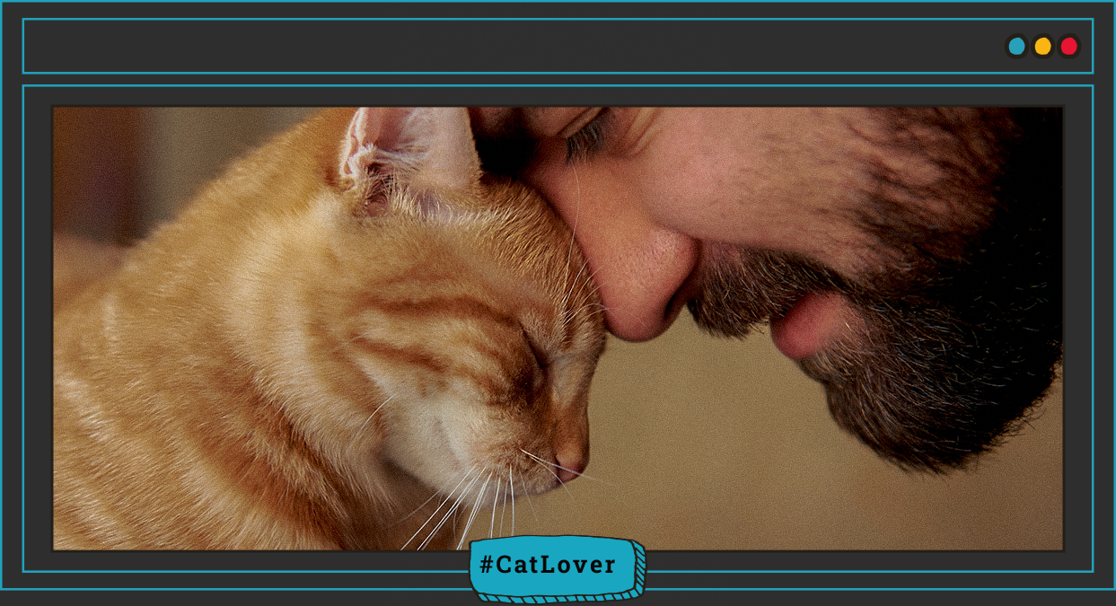 cómo saber qué tan grande va a ser mi gato